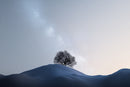 Minimalist Solitary Tree Mountain